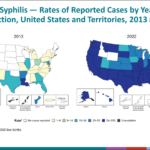 State Syndemic Approaches and Congenital Syphilis